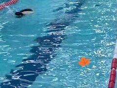 -扑腾游泳俱乐部(德尔塔酒店店)