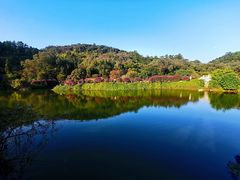 -南国桃园旅游度假区