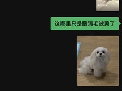 -BABYDOG宝贝狗宠物乐园(欧洲城店)
