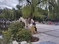 -文瀛公园