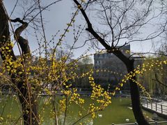 -莲湖公园
