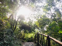 -大雁山风景区