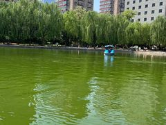 -团结湖公园