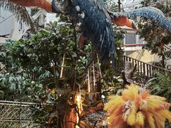 -正佳雨林生态植物园
