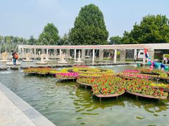 -石家庄市植物园