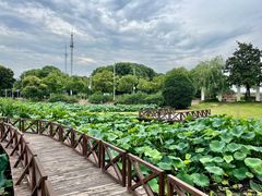 -美兰湖景区