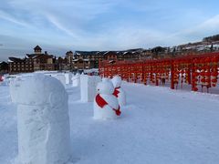 -长白山华美胜地滑雪场