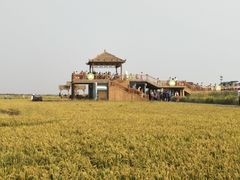 -红海滩国家风景廊道