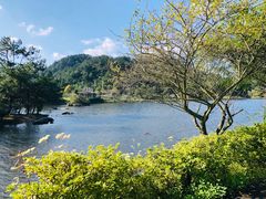 -冠豸山景区