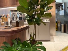 -Peet's Coffee皮爷咖啡(杭州来福士店)