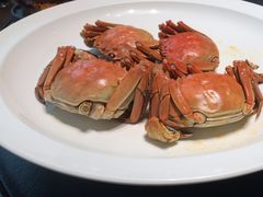 -曼格纳·曼芯馆(杨浦店)