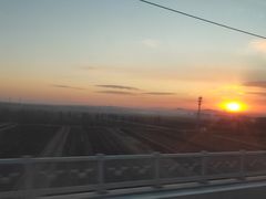 -杨记小骨头羊杂馆(南五马路店)