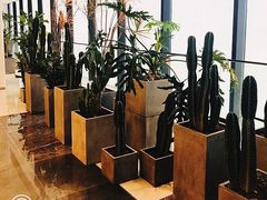 大堂-北京厨房(西安SKP店)