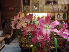 -六月花园咖啡馆(中关村东路店)