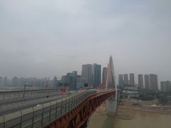 -一只酸奶牛(八一路店)