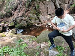 -三块石国家森林公园