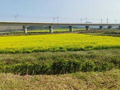 -光明小镇欢乐田园