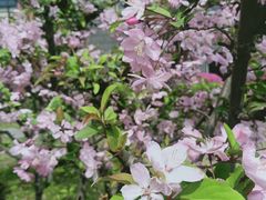 -丁山花园酒店-明园餐厅