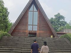 -美丽洲堂
