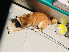 -程咬金小馆