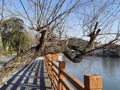 -慈城古县城景区
