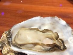 -千岛蚝高压锅生蚝·人参火锅(白云万达店)