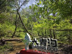 -大青沟风景区
