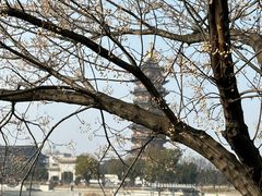 -葛仙湖公园
