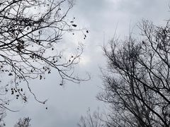 -蜀冈西峰生态公园