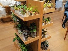 -MUJI无印良品(环球港店)