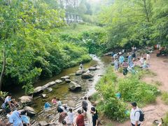 -重庆彩云湖湿地公园