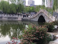 -文瀛公园