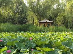-太阳宫公园