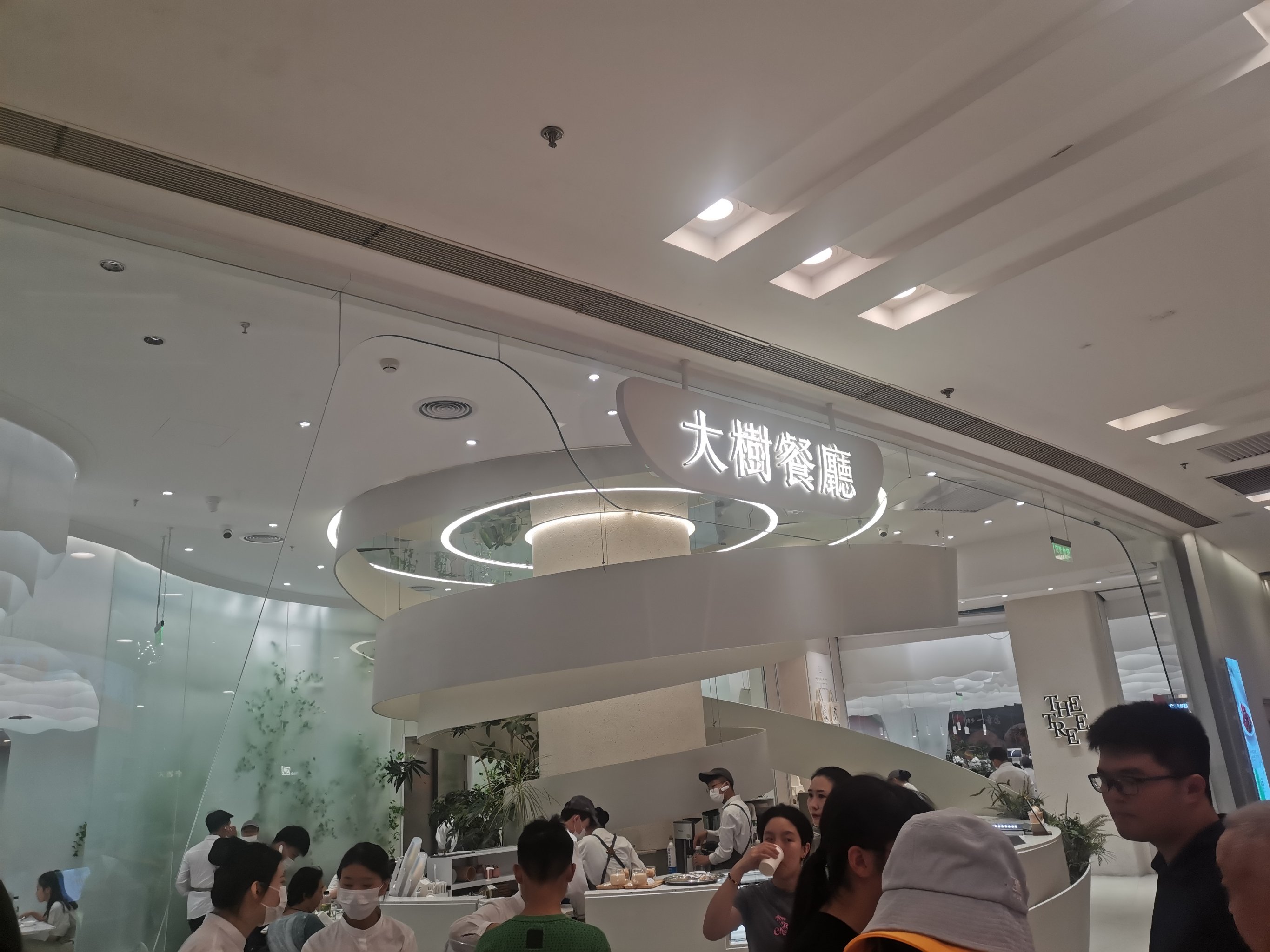 朝阳大悦城大树餐厅图片