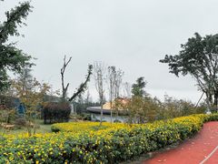 -铁山坪森林公园