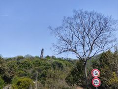 -上海佘山国家森林公园天马山园