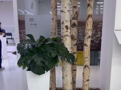 -极简口腔(总院)