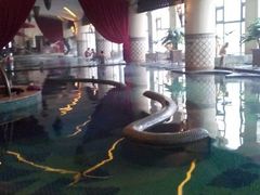 -月亮河温泉度假酒店