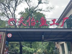 -天怡·鱼工厂(梅溪湖店)
