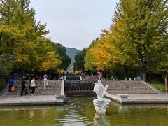 -晋祠公园