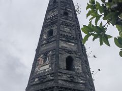 -上海佘山国家森林公园天马山园