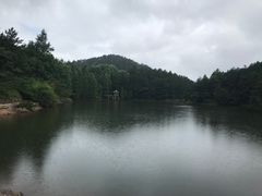 -四明山国家森林公园