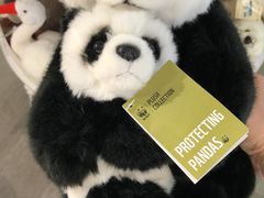 -谢列梅捷沃国际机场