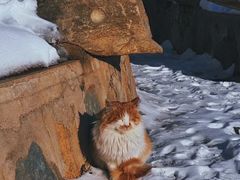 -北京西山国家森林公园