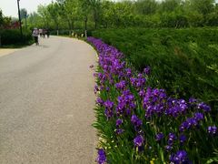 -永定河休闲森林公园