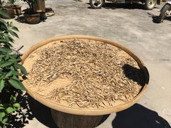 门面自家干货-云中大漈