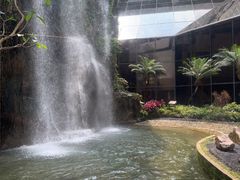 -广州花园酒店荔湾亭·地道点心·粤式饮茶