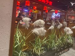 -鸽子窝(黄村店)