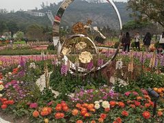 -龙环葡韵住宅式博物馆
