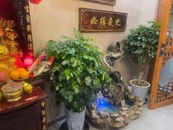 点击看大图 -升艾堂亚健康调理中心